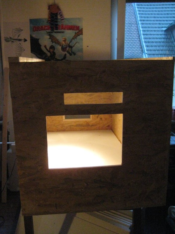 Terrariumbau_2013_002