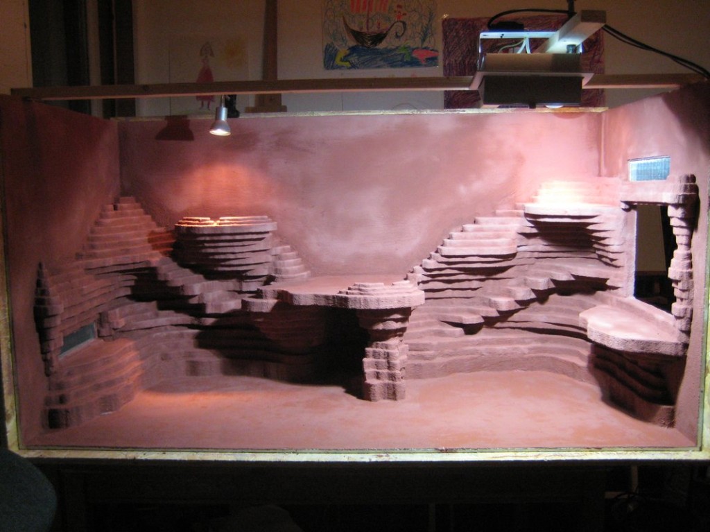Terrariumbau_2013_016