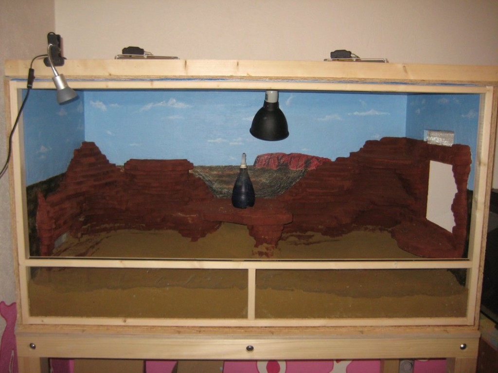 Terrariumbau_2013_030