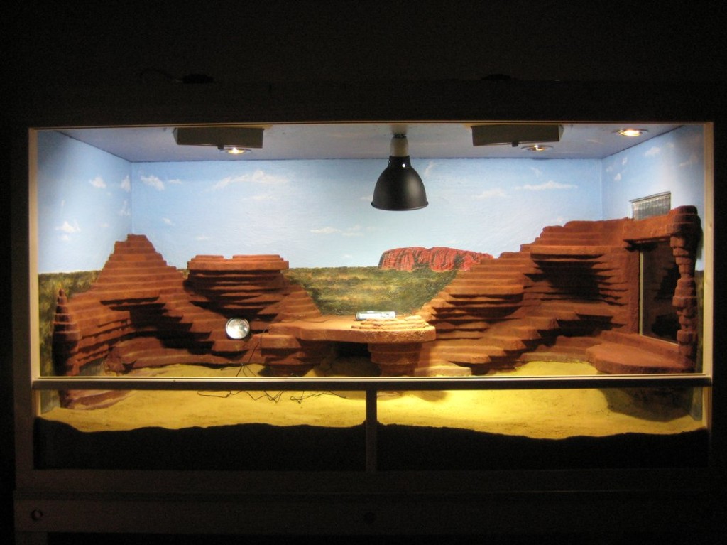 Terrariumbau_2013_031