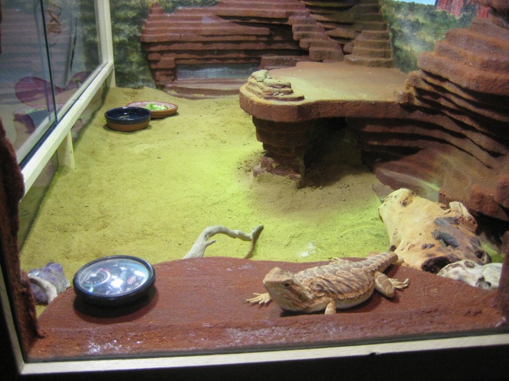 Terrariumbau_2013_037