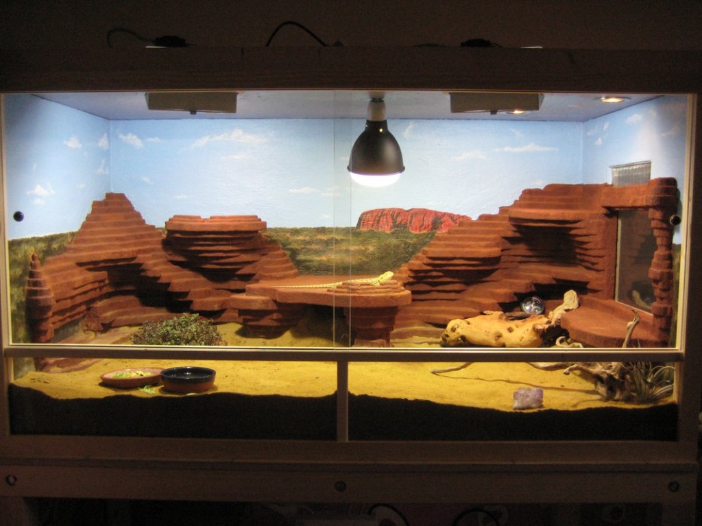 Terrariumbau_2013_039