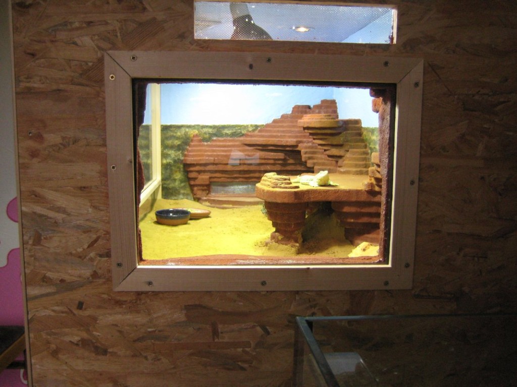 Terrariumbau_2013_040