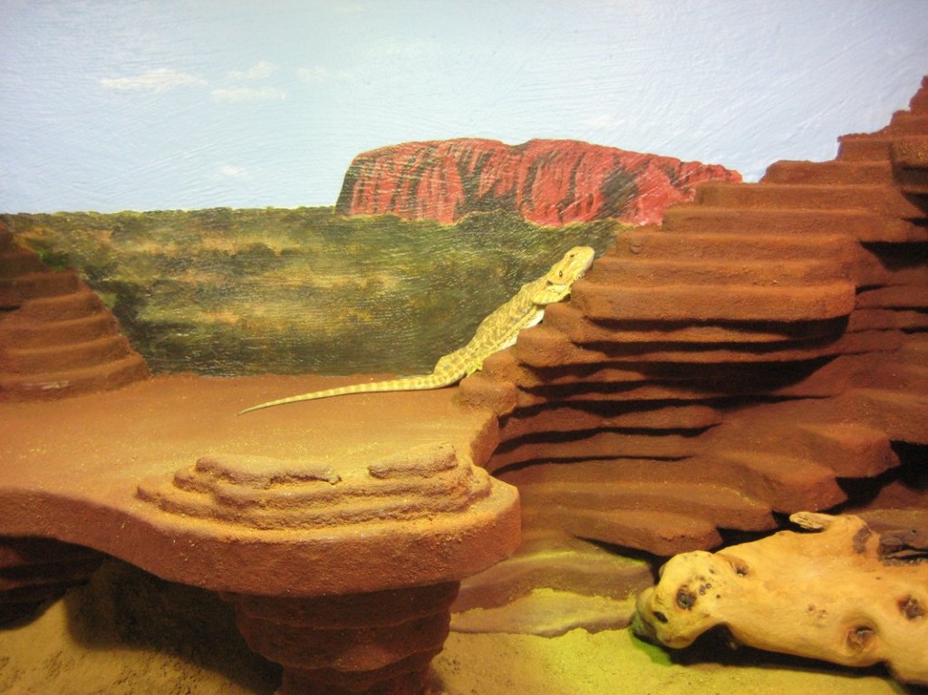 Terrariumbau_2013_041