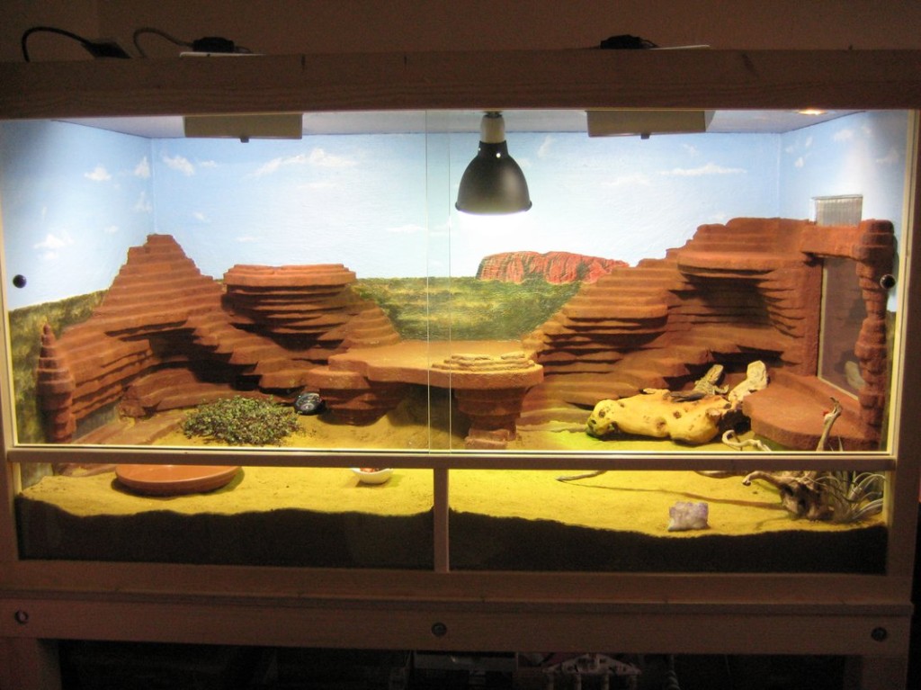 Terrariumbau_2013_045